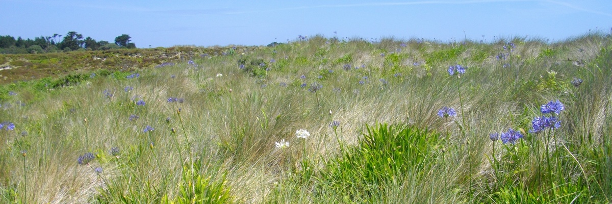 Isles of Scilly